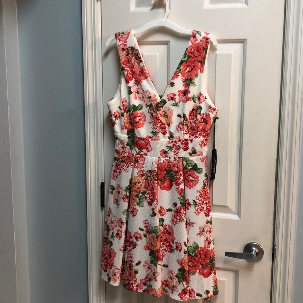 Haute Monde Floral Mini Dress - Red and White